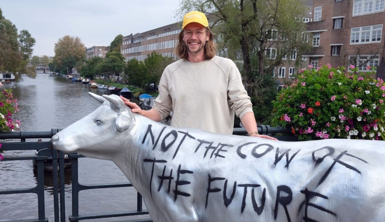 61 millió dolláros befektetést kapott a tehéntej nélküli sajtot készítő startup, a Formo