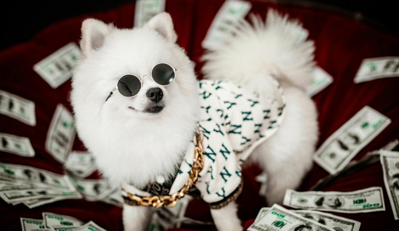 Hogyan használd fel a pre-seed befektetésedet?