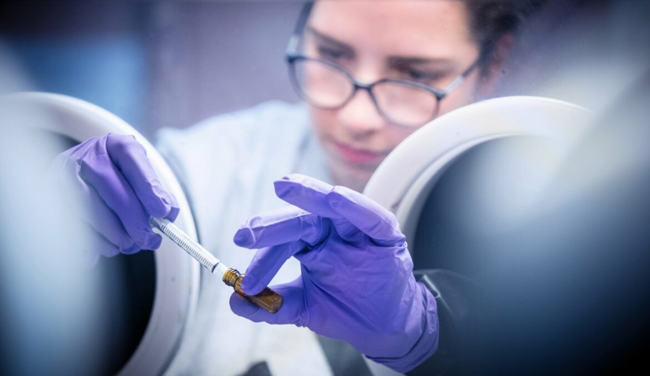 A jó csapat összeállításában is segít a White Unicorn inkubátora az ötletgazdáknak