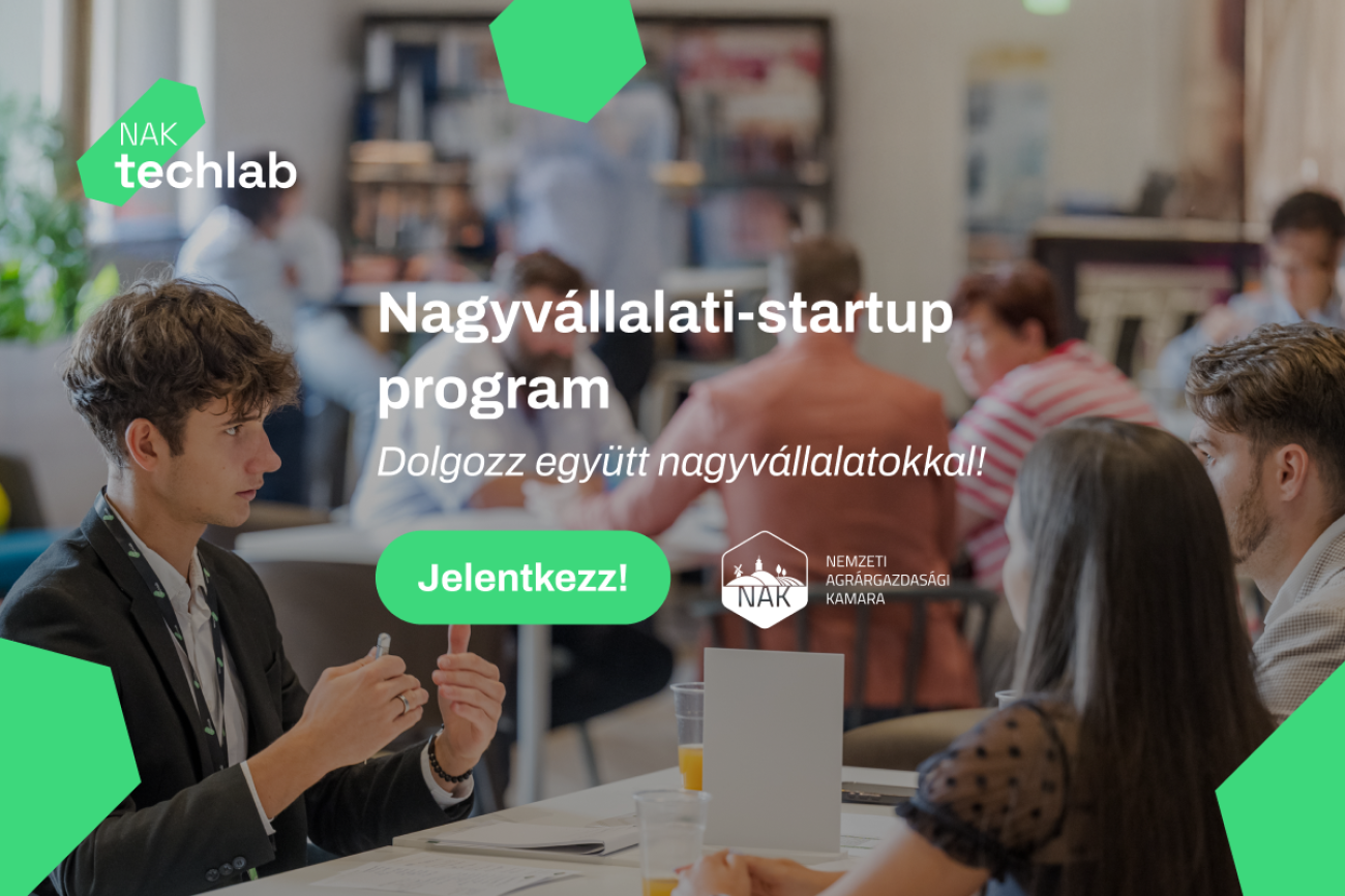 Valós problémákra valós megoldások