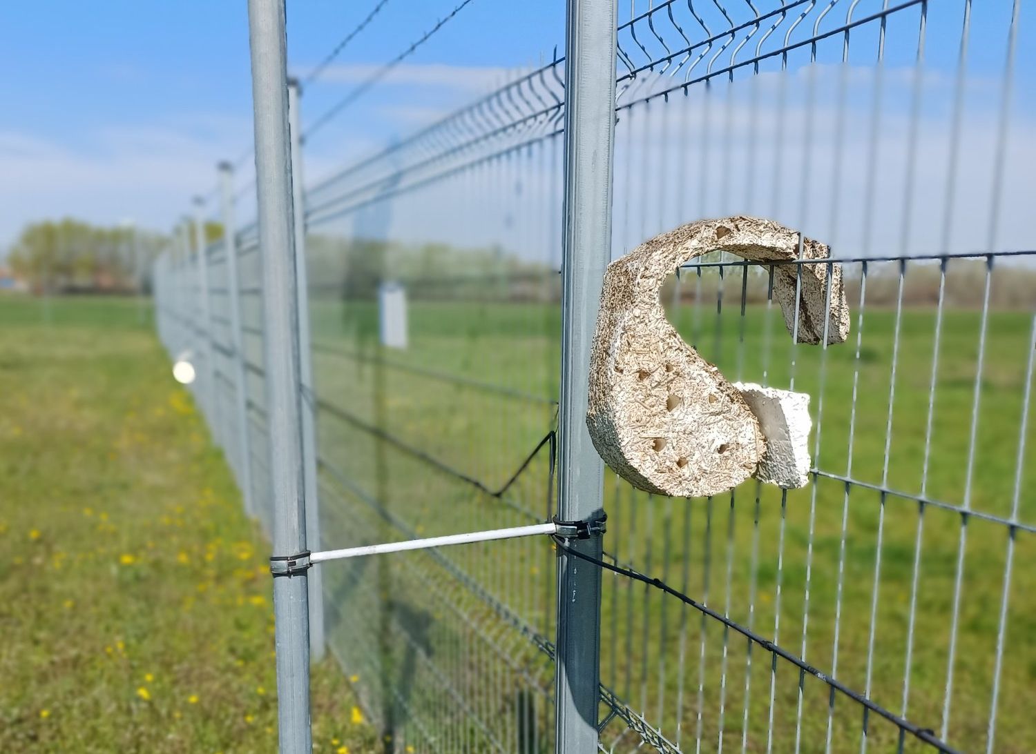 MycoNest_20250405_110658-YyvDDQ3geWS4VX8D